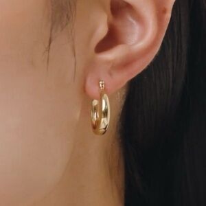 Ana luisa gold hoop earrings